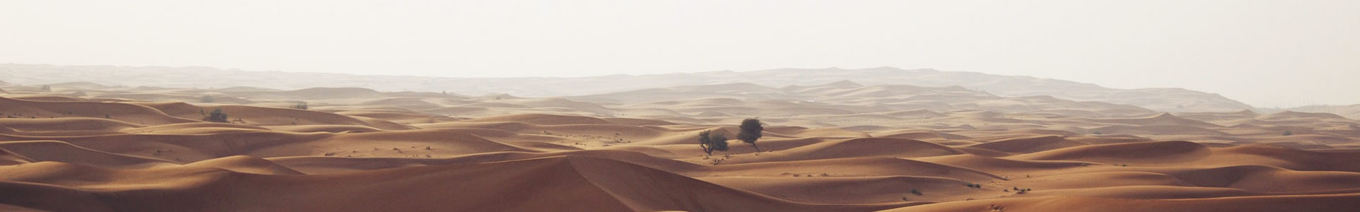 ݻܼҾ޹˾